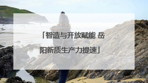 智造与开放赋能 岳阳新质生产力提速