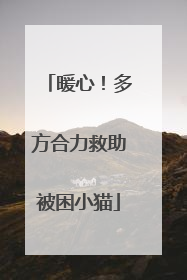 暖心！多方合力救助被困小猫