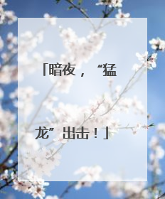 暗夜，“猛龙”出击！
