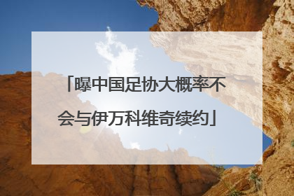 曝中国足协大概率不会与伊万科维奇续约
