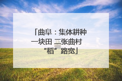 曲阜：集体耕种一块田 二张曲村“稻”路宽