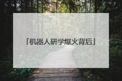 机器人研学爆火背后