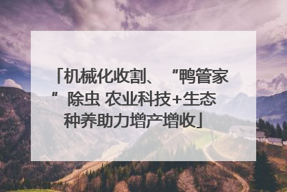机械化收割、“鸭管家”除虫 农业科技+生态种养助力增产增收
