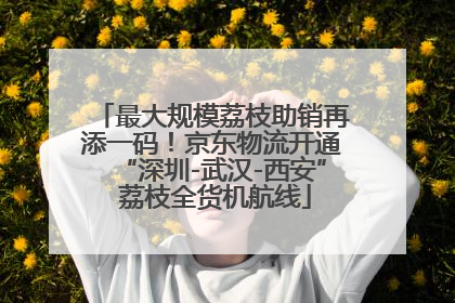 最大规模荔枝助销再添一码！京东物流开通“深圳-武汉-西安” 荔枝全货机航线