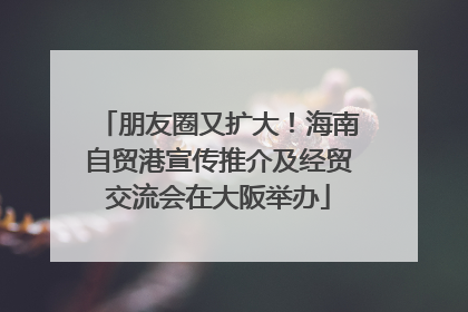 朋友圈又扩大！海南自贸港宣传推介及经贸交流会在大阪举办