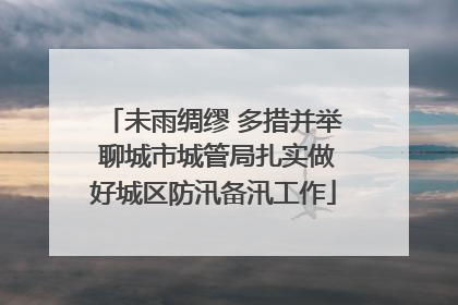 未雨绸缪 多措并举 聊城市城管局扎实做好城区防汛备汛工作