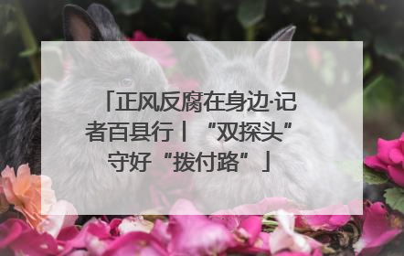 正风反腐在身边·记者百县行丨“双探头”守好“拨付路”