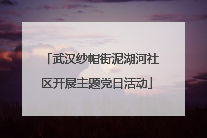 武汉纱帽街泥湖河社区开展主题党日活动