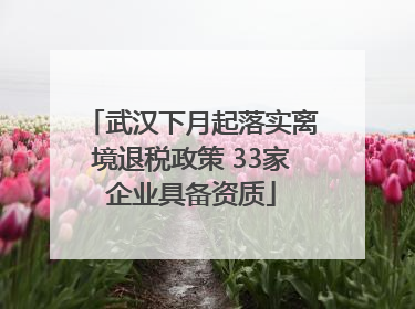 武汉下月起落实离境退税政策 33家企业具备资质
