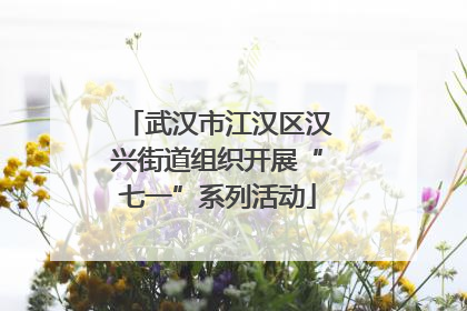武汉市江汉区汉兴街道组织开展“七一”系列活动