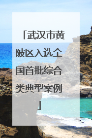 武汉市黄陂区入选全国首批综合类典型案例