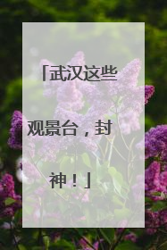 武汉这些观景台，封神！