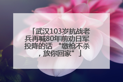 武汉103岁抗战老兵再喊80年前劝日军投降的话 “缴枪不杀，放你回家”