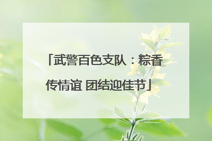 武警百色支队：粽香传情谊 团结迎佳节