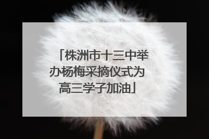 株洲市十三中举办杨梅采摘仪式为高三学子加油