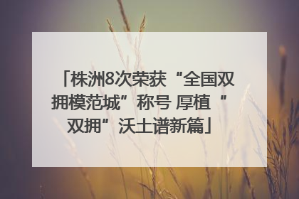 株洲8次荣获“全国双拥模范城”称号 厚植“双拥”沃土谱新篇