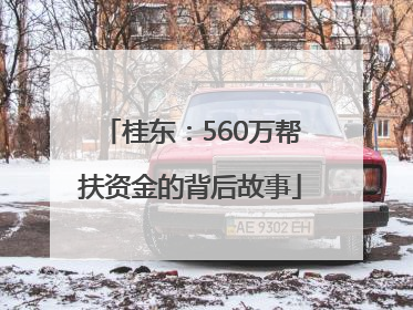 桂东：560万帮扶资金的背后故事