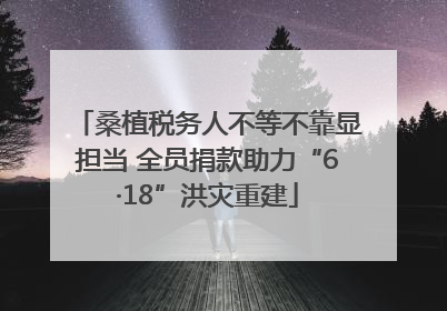 桑植税务人不等不靠显担当 全员捐款助力“6·18”洪灾重建