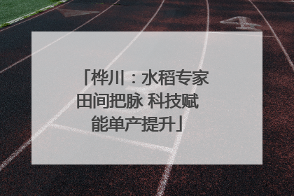 桦川：水稻专家田间把脉 科技赋能单产提升