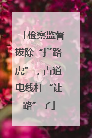 检察监督拔除“拦路虎”，占道电线杆“让路”了