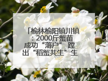 榆林榆阳镇川镇：2000斤蟹苗成功“落户” 蹚出“稻蟹共生”生态种养新路径