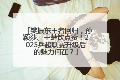 樊振东王者回归，孙颖莎、王楚钦点赞！2025乒超联赛升级后的魅力何在？