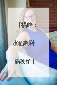 横峰：水稻制种插秧忙
