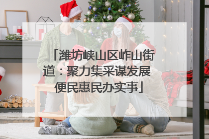 潍坊峡山区岞山街道：聚力集采谋发展 便民惠民办实事