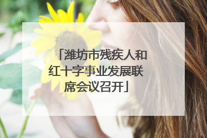 潍坊市残疾人和红十字事业发展联席会议召开