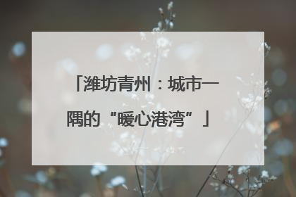 潍坊青州：城市一隅的“暖心港湾”