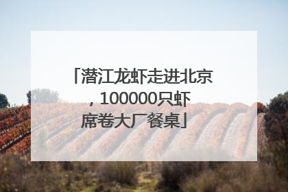 潜江龙虾走进北京，100000只虾席卷大厂餐桌