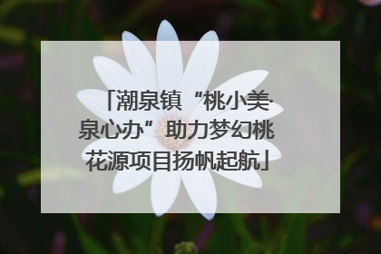 潮泉镇“桃小美·泉心办”助力梦幻桃花源项目扬帆起航