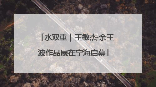 水双重｜王敏杰·余王波作品展在宁海启幕