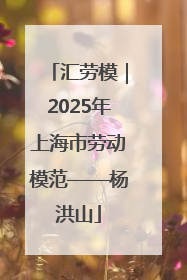 汇劳模｜2025年上海市劳动模范——杨洪山