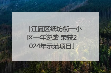 江夏区纸坊街一小区一年逆袭 荣获2024年示范项目