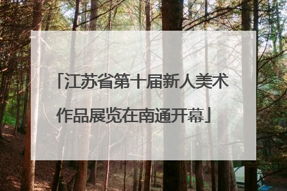 江苏省第十届新人美术作品展览在南通开幕