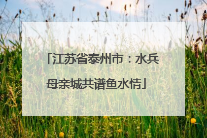江苏省泰州市：水兵母亲城共谱鱼水情