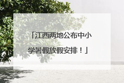 江西两地公布中小学暑假放假安排！