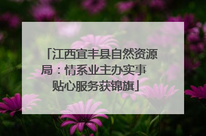 江西宜丰县自然资源局：情系业主办实事 贴心服务获锦旗