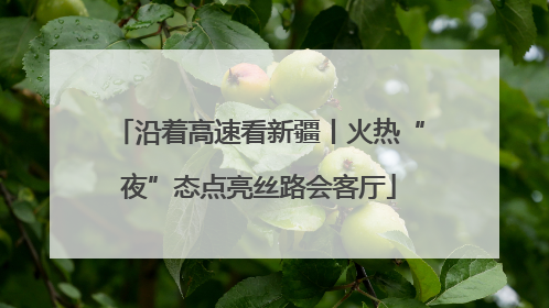 沿着高速看新疆丨火热“夜”态点亮丝路会客厅