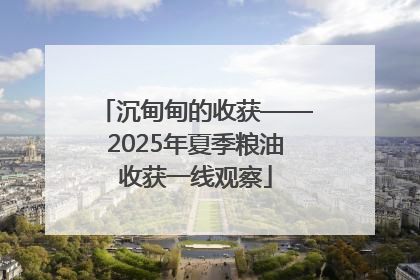 沉甸甸的收获——2025年夏季粮油收获一线观察