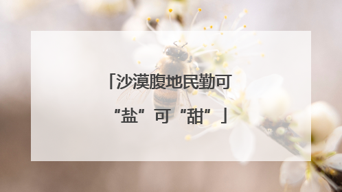沙漠腹地民勤可“盐”可“甜”