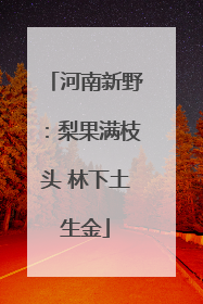 河南新野：梨果满枝头 林下土生金
