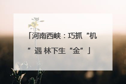 河南西峡：巧抓“机”遇 林下生“金”