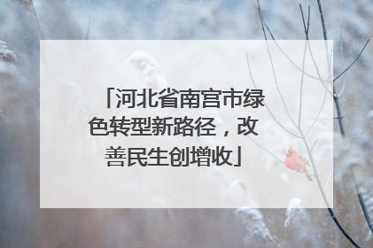 河北省南宫市绿色转型新路径，改善民生创增收
