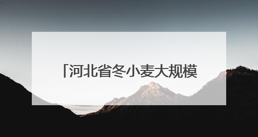 河北省冬小麦大规模机收工作全面启动