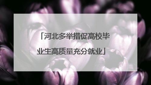 河北多举措促高校毕业生高质量充分就业