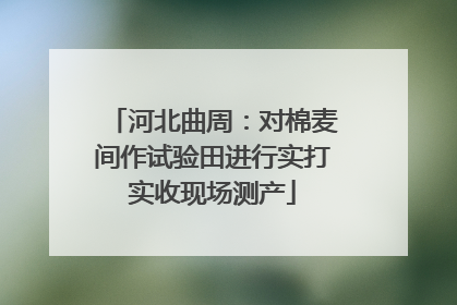 河北曲周：对棉麦间作试验田进行实打实收现场测产