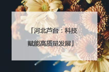 河北芦台：科技赋能高质量发展