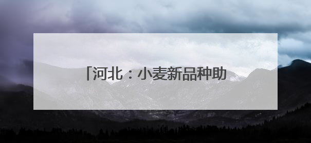 河北：小麦新品种助力农业高质量发展